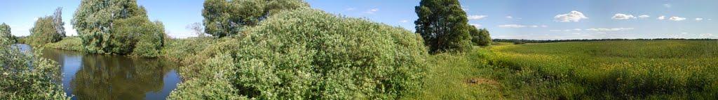 Кропивне з panoramio.com - Крапивное