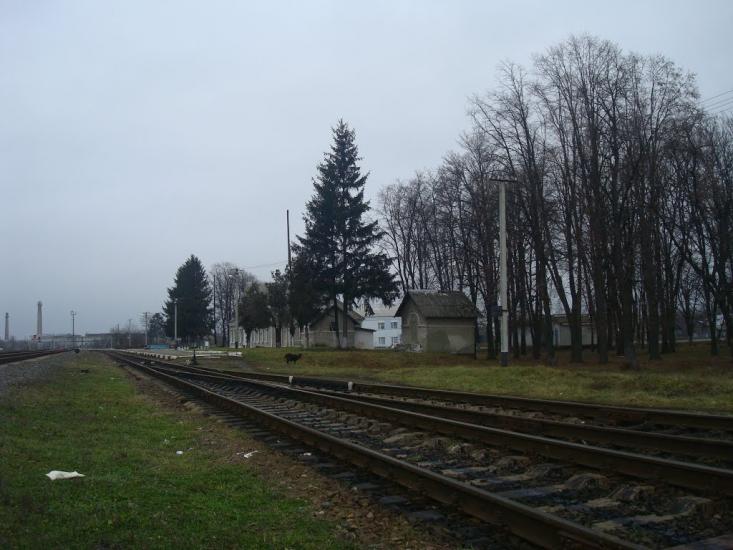 Пашківці з panoramio.com - Пашковцы