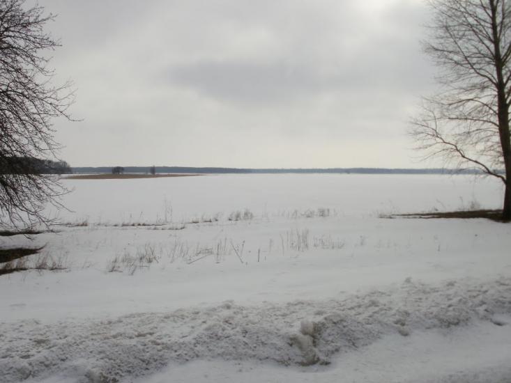 Мельники з panoramio.com - Мельники