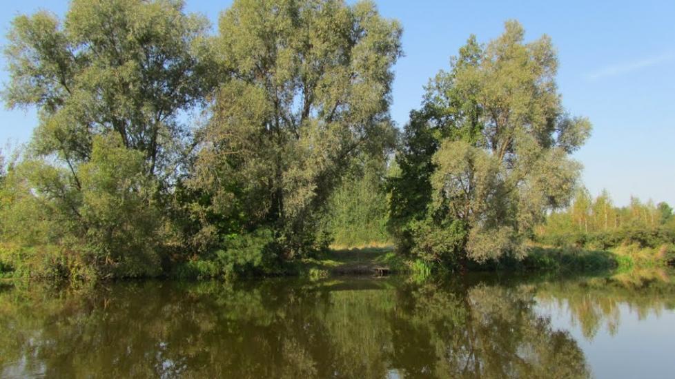 Прохорів з panoramio.com - Прохоров