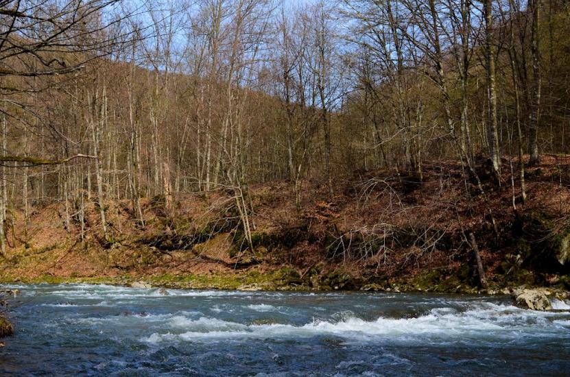 Костева Пастіль з panoramio.com - Костева Пастіль