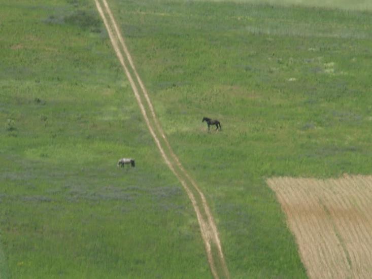 Вільховець з panoramio.com - Ольховец