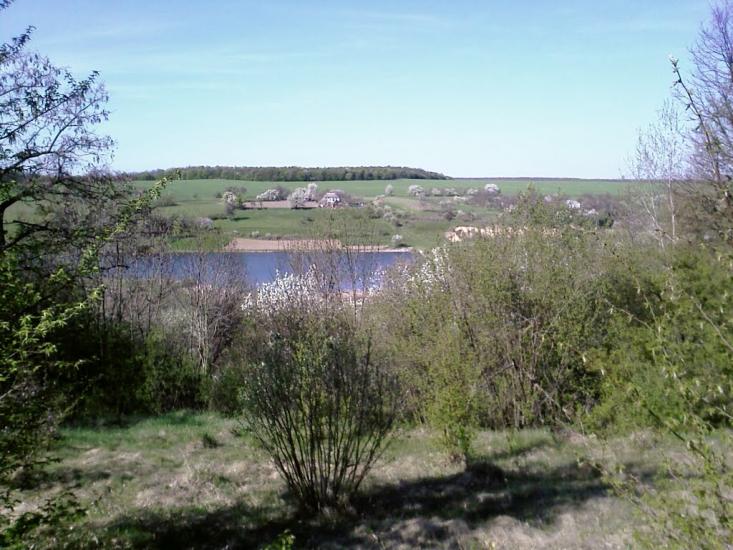 Дмитренки з panoramio.com - Дмитренки