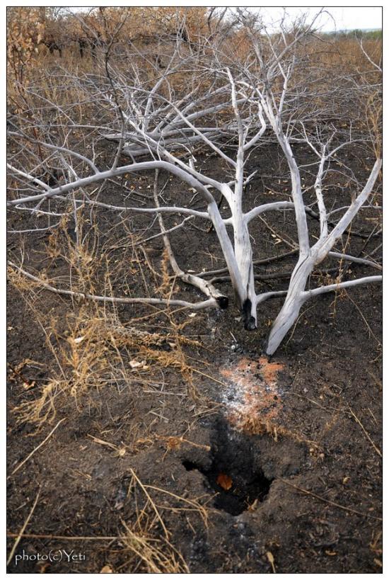 Суходільськ з panoramio.com - Суходольск