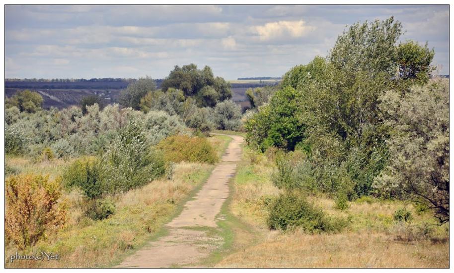 Радісне з panoramio.com - Радісне