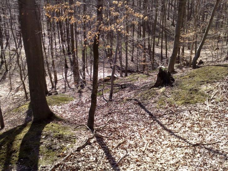 Дев'ятир з panoramio.com - Девятир