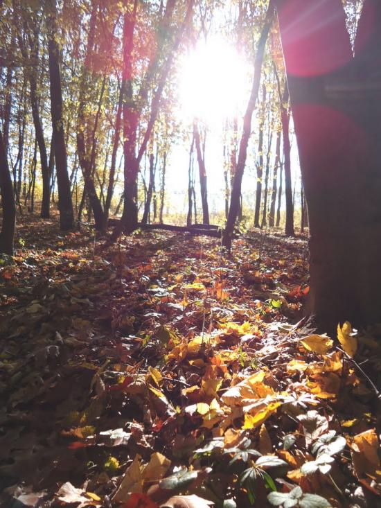 Красилів з panoramio.com - Красилів