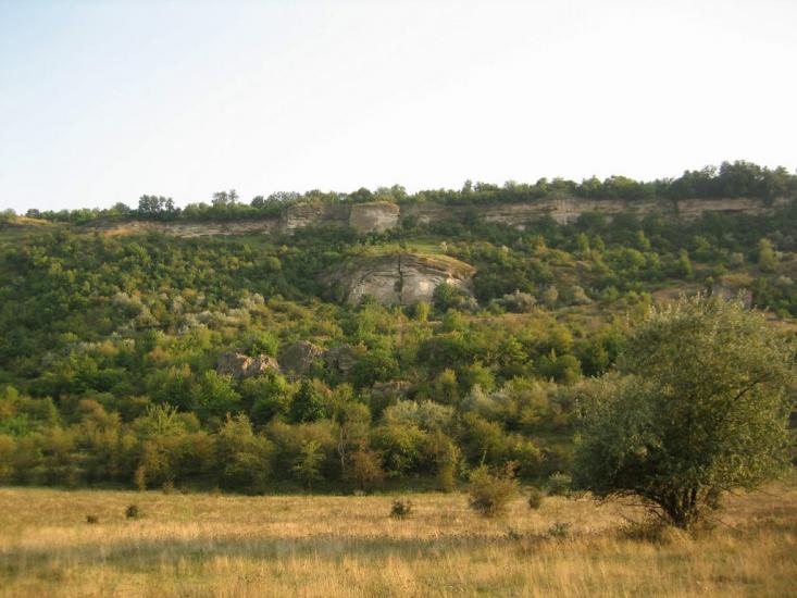 Олексіївка з panoramio.com - Алексеевка