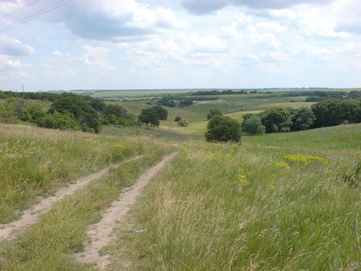 Сад з panoramio.com - Сад