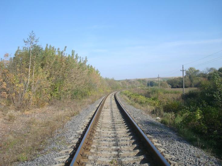 Кутківці з panoramio.com - Кутковцы