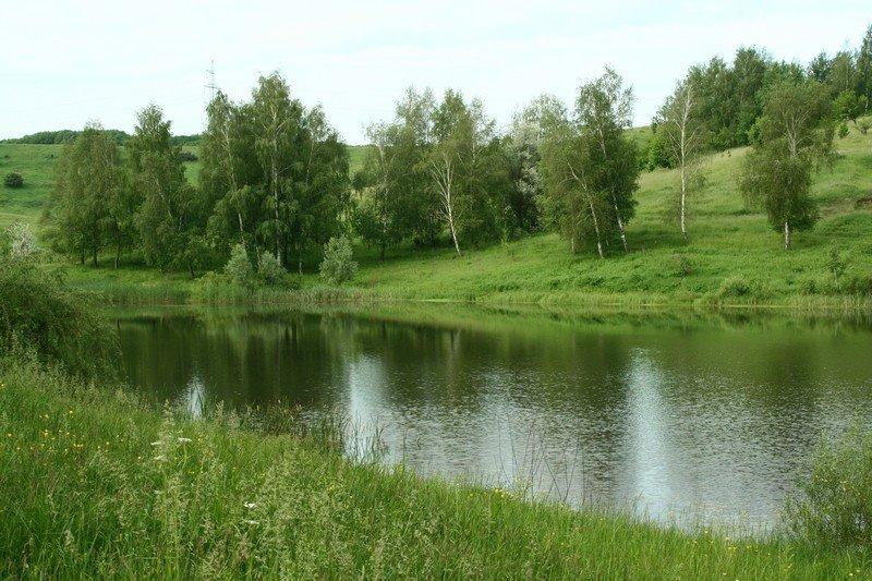 Вільшани з panoramio.com - Ольшаны