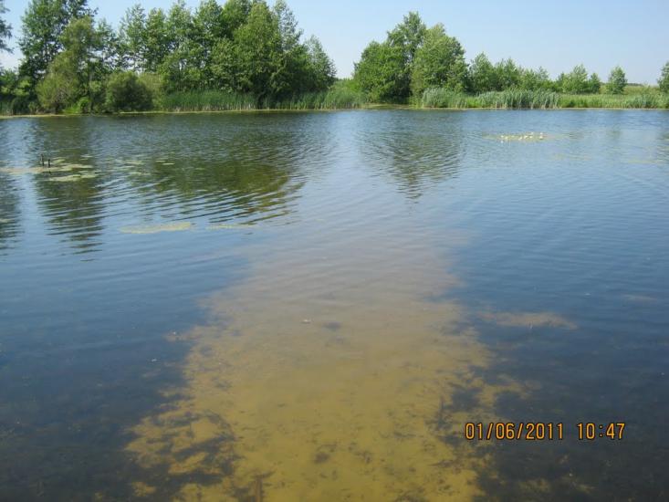 Короп з panoramio.com - Короп