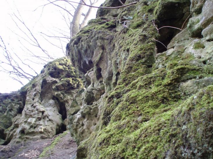 Козулька з panoramio.com - Козулька