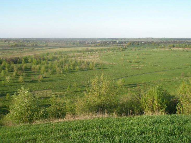Біляки з panoramio.com - Bilyaky
