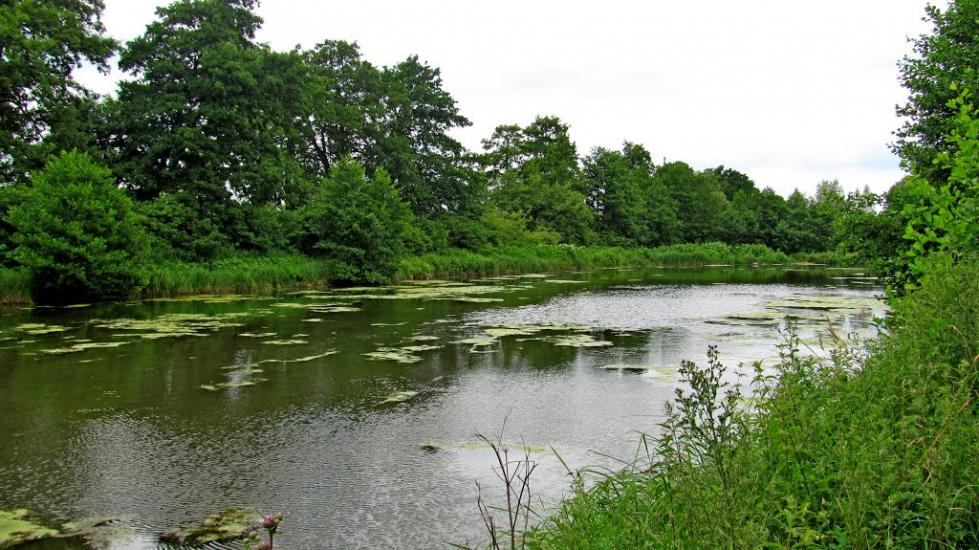 Пониква з panoramio.com - Ponykva