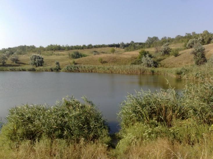 Губиниха з panoramio.com - Губиниха