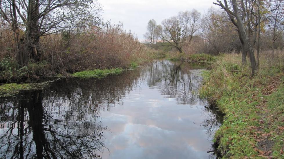 Колісники з panoramio.com - Колісники