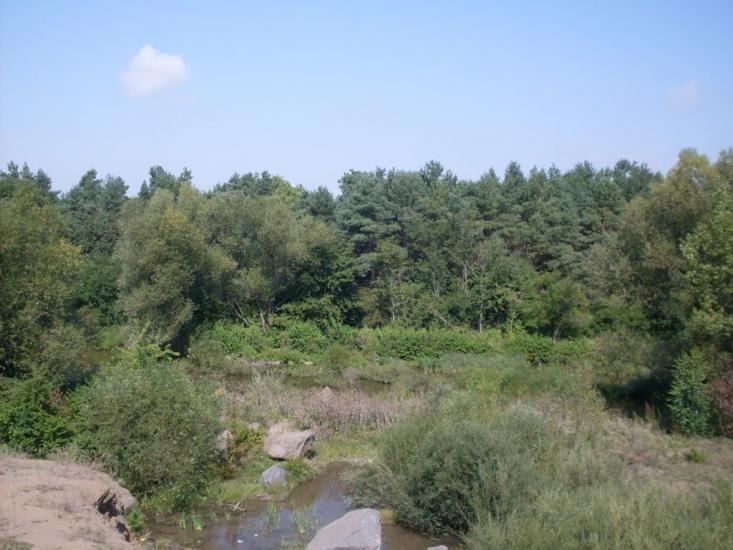 Млинки з panoramio.com - Млынки