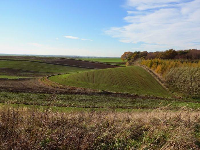 Корчів з panoramio.com - Корчев