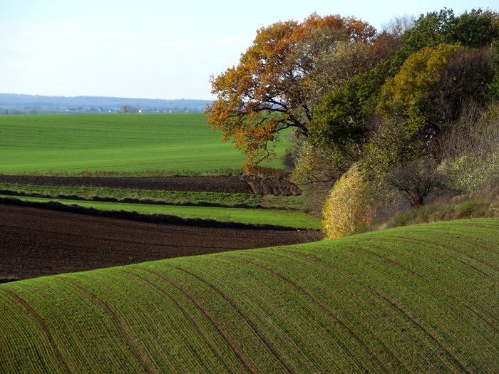 Корчів з panoramio.com - Корчів