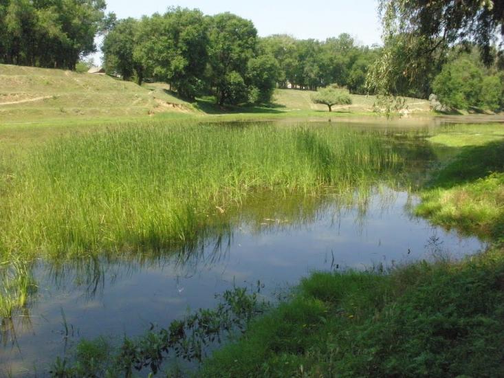 Любимівка з panoramio.com - Любимівка