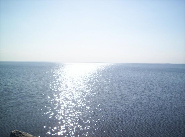 Покровське з panoramio.com - Покровское