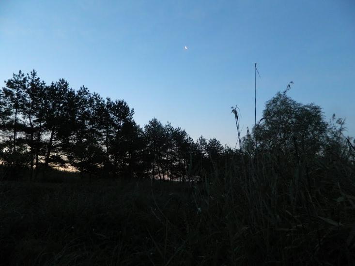 Федорівка з panoramio.com - Федорівка