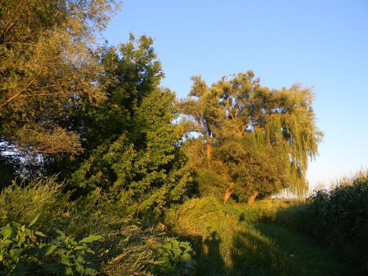Білозір'я з panoramio.com - Белозерье
