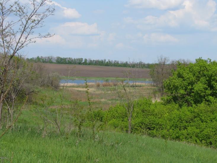 Першотравенськ з panoramio.com - Першотравенск