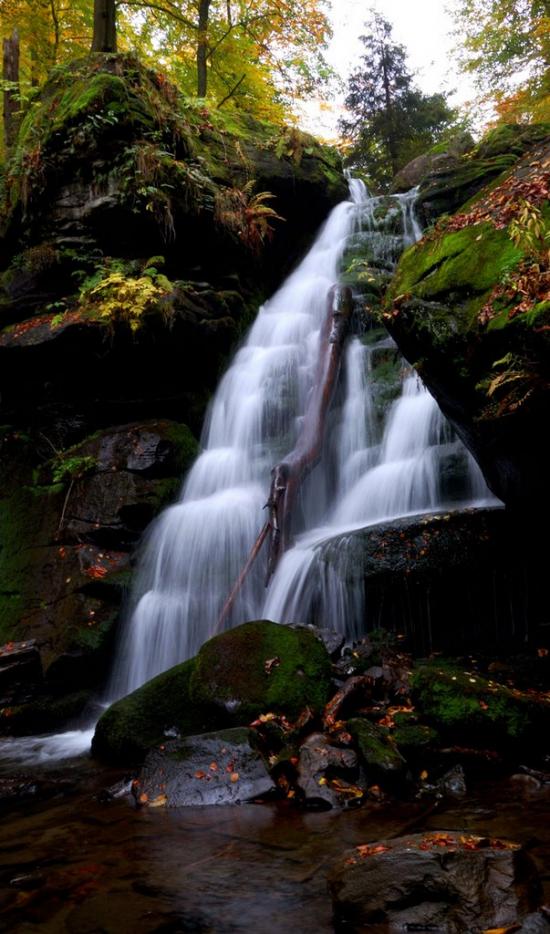 Полянська Гута з panoramio.com - Полянська Гута