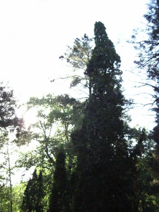 Бабичівка з panoramio.com - Бабичовка