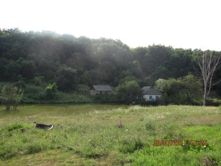 Кунцеве з panoramio.com - Кунцеве