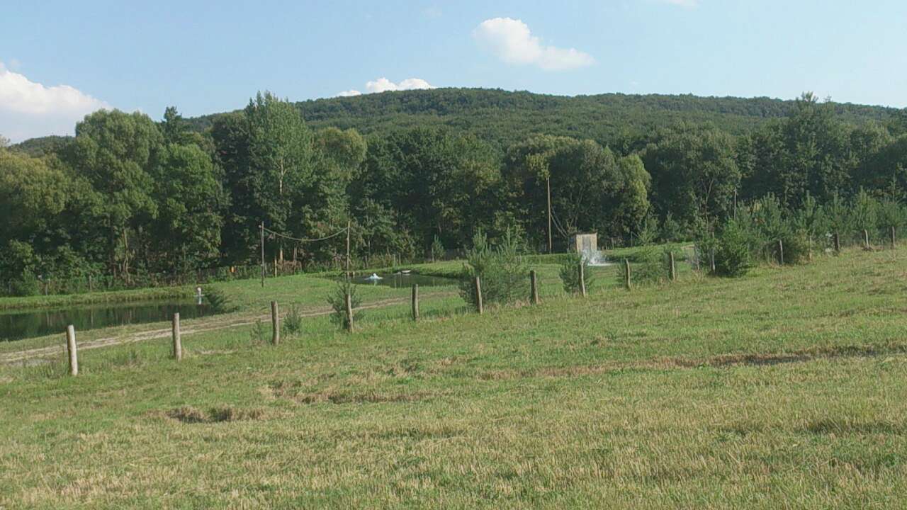 Ганачівка - Ганачівка