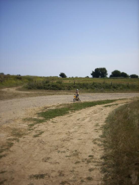 Ставники з panoramio.com - Ставники