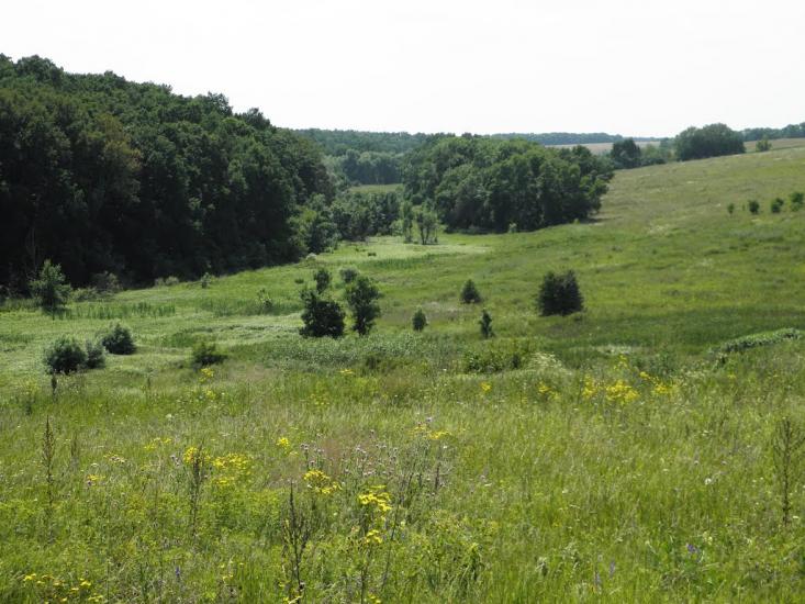 Остапенки з panoramio.com - Остапенки