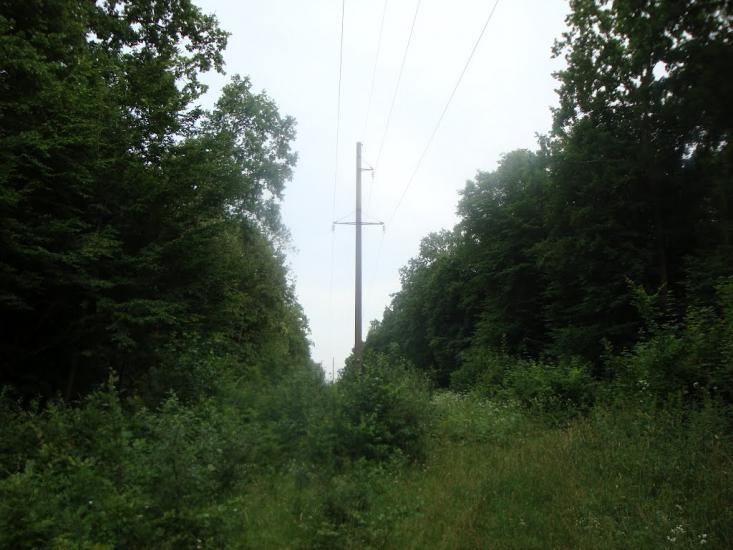 Великі Коровинці з panoramio.com - Великі Коровинці