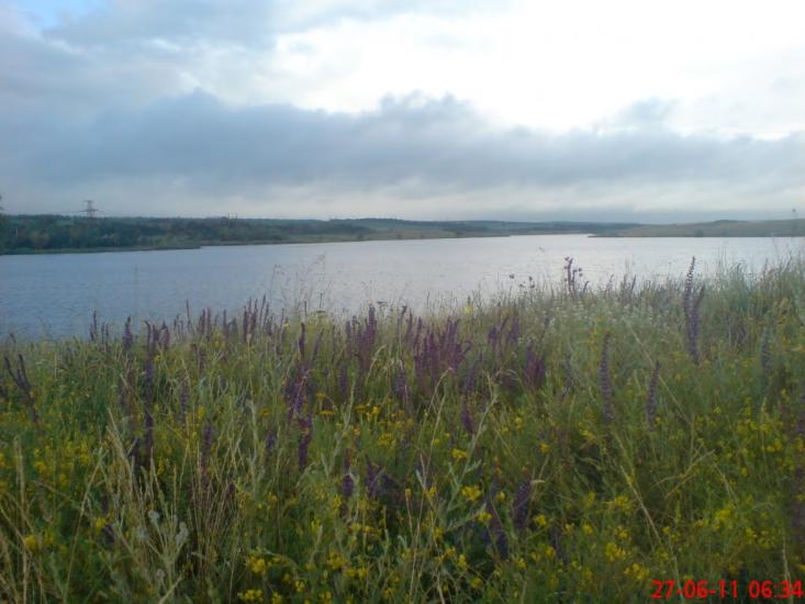 Родникове з panoramio.com - Родниково