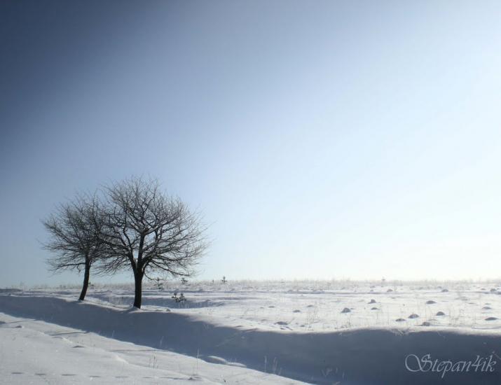 Бобрівники з panoramio.com - Бобрівники