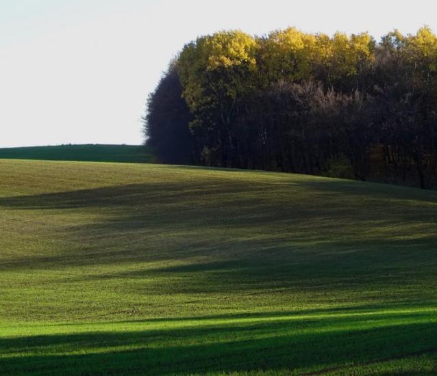 Корчів з panoramio.com - Корчів