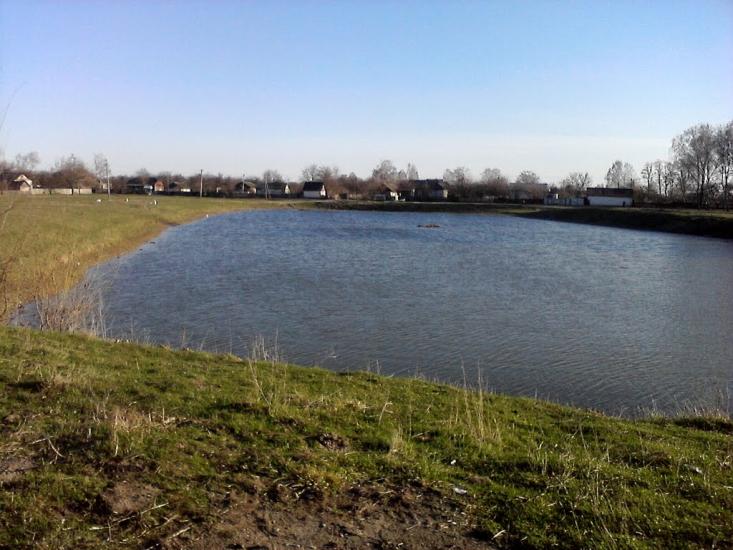 Товстоліс з panoramio.com - Товстоліс