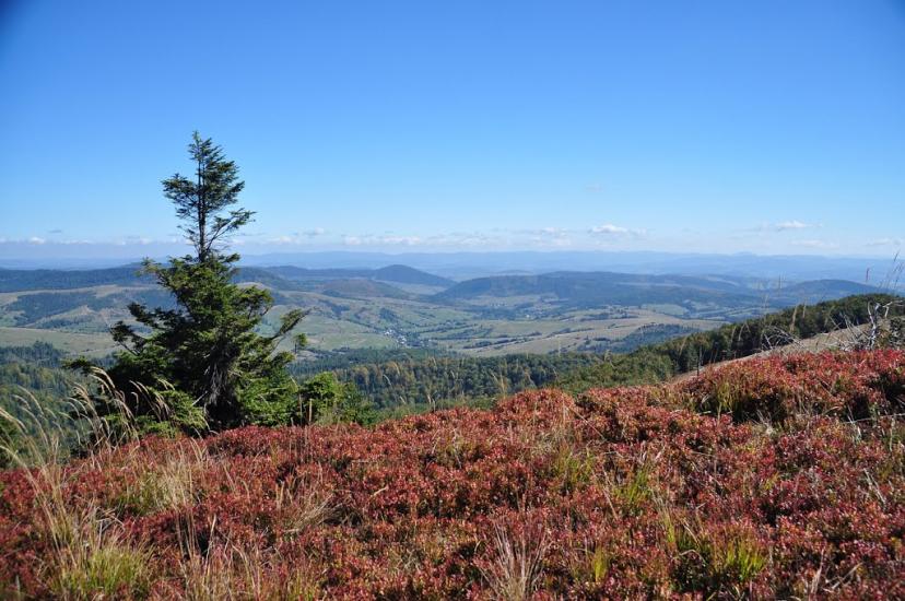 Гусний з panoramio.com - Гусний