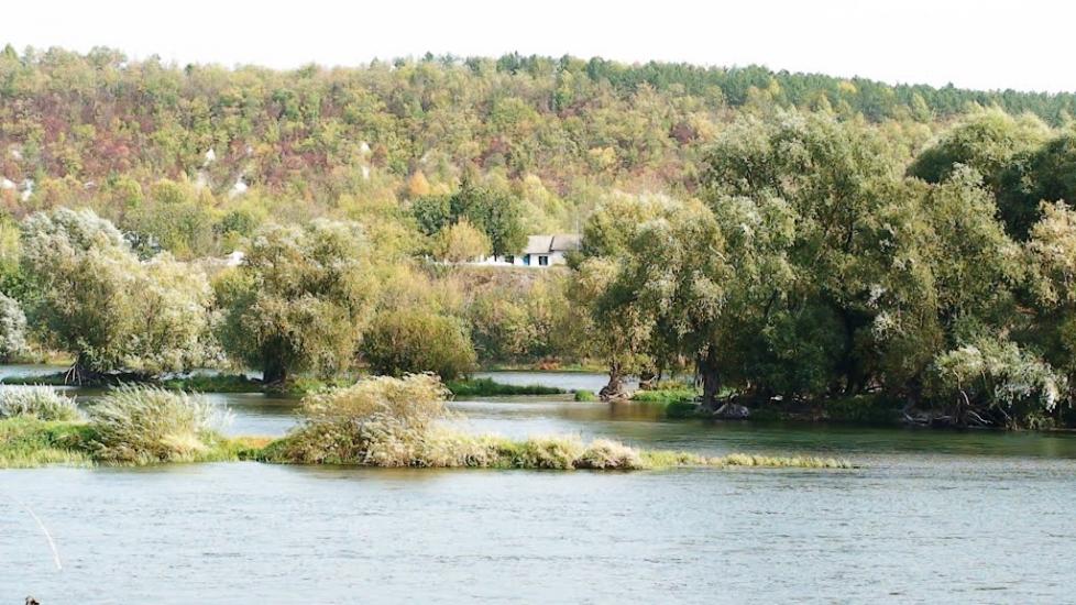 Оксанівка з panoramio.com - Оксанівка