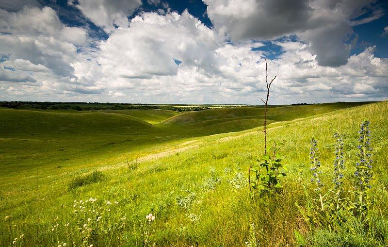 Миронівка з panoramio.com - Мироновка