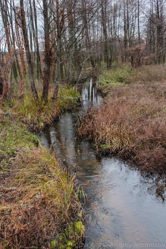 Хочева з panoramio.com - Хочева