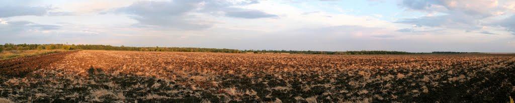Оріхуватка з panoramio.com - Орехуватка