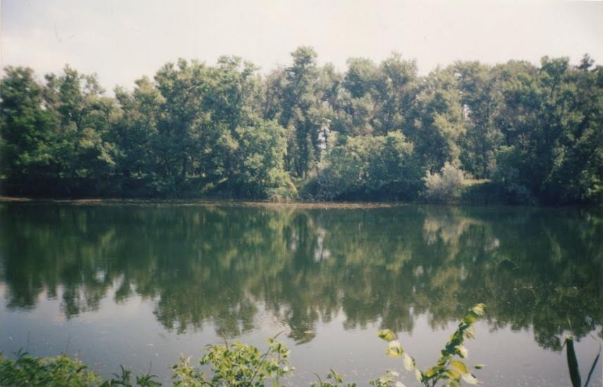 Марганець з panoramio.com - Marganets