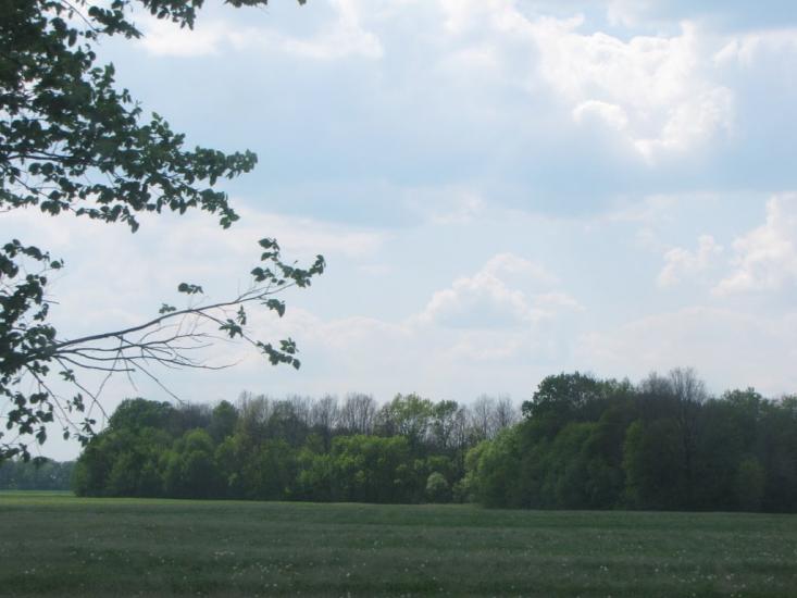 Перегонівка з panoramio.com - Перегонівка