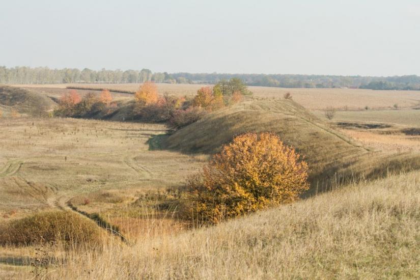 Озеро з panoramio.com - Озеро