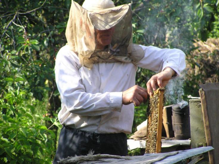 Ялтушків з panoramio.com - Ялтушков