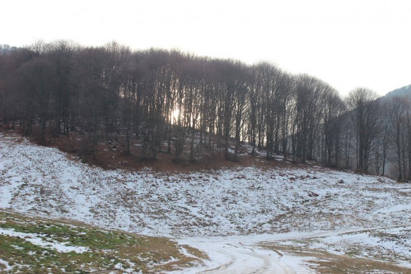 Велятин з panoramio.com - Velyatyn